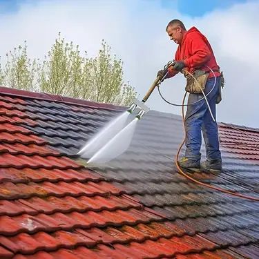 Roof Cleaning In 