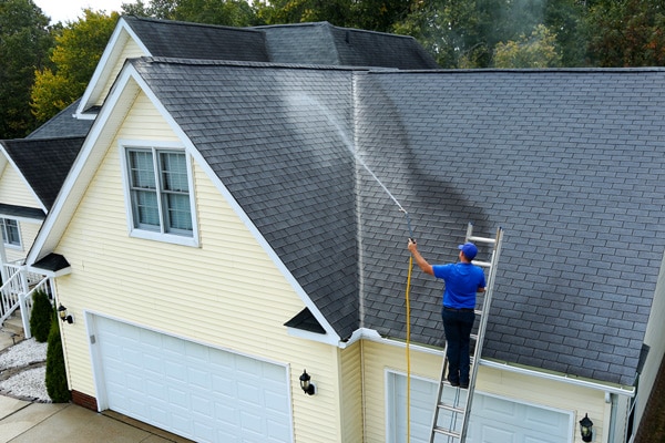 Low-pressure soft-wash detergent treating moss and algae on a Vermont roof