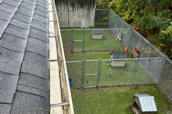 Can You Install Gutter Guards Yourself? Why Hiring A Professional Matters