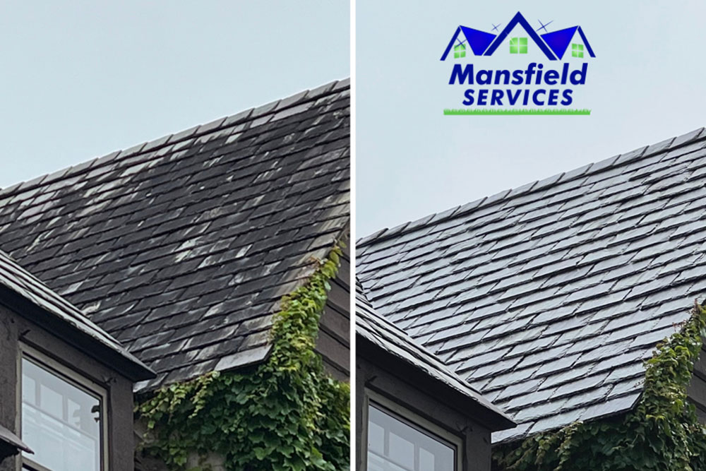 Moss On Roof Shingles? Here’s How To Get Rid Of It For Good