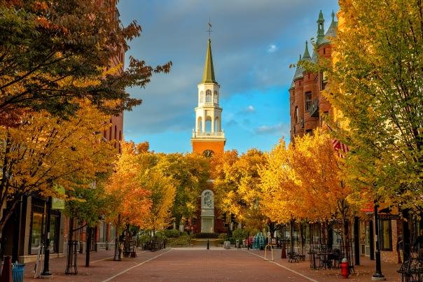Fall maple leaves over a Vermont street